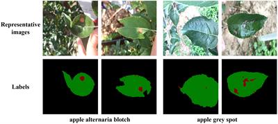 MixSeg: a lightweight and accurate mix structure network for semantic segmentation of apple leaf disease in complex environments